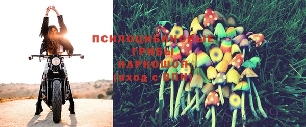 a pvp Киренск