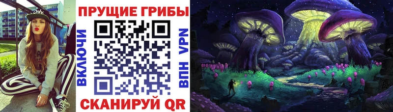 Псилоцибиновые грибы Psilocybe  Купить где  Бутурлиновка 