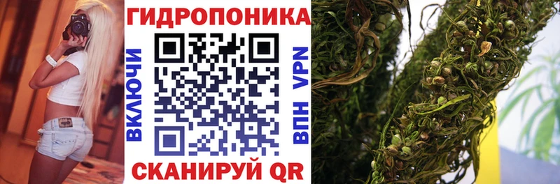 Купить закладки  Бутурлиновка  МАРИХУАНА ГИДРОПОН 